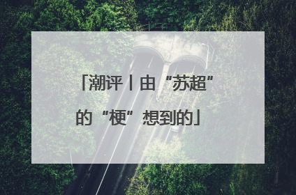 潮评丨由“苏超”的“梗”想到的