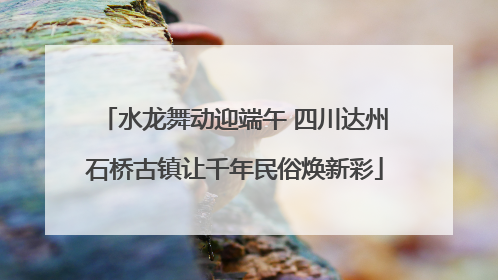水龙舞动迎端午 四川达州石桥古镇让千年民俗焕新彩
