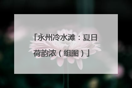 永州冷水滩：夏日荷韵浓（组图）