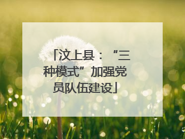 汶上县：“三种模式”加强党员队伍建设
