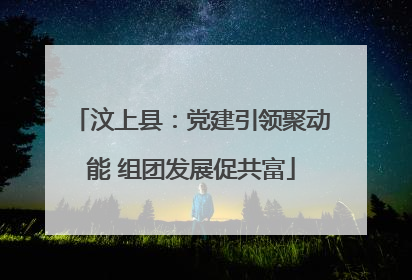 汶上县：党建引领聚动能 组团发展促共富