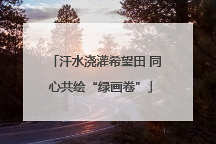 汗水浇灌希望田 同心共绘“绿画卷”