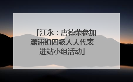 江永：唐德荣参加潇浦镇四级人大代表进站小组活动