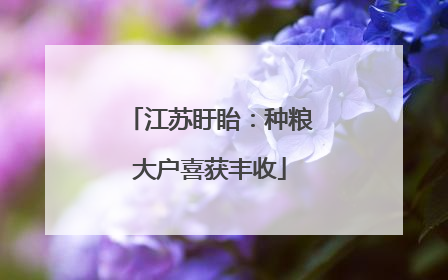 江苏盱眙：种粮大户喜获丰收