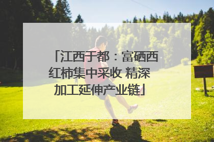 江西于都：富硒西红柿集中采收 精深加工延伸产业链