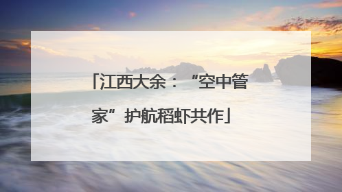 江西大余：“空中管家”护航稻虾共作
