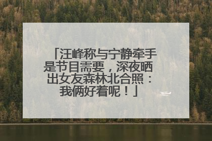 汪峰称与宁静牵手是节目需要，深夜晒出女友森林北合照：我俩好着呢！