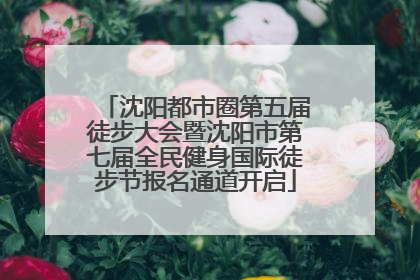 沈阳都市圈第五届徒步大会暨沈阳市第七届全民健身国际徒步节报名通道开启
