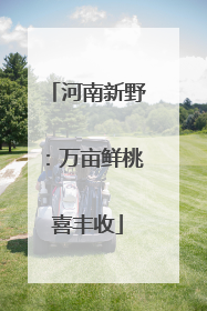 河南新野：万亩鲜桃喜丰收