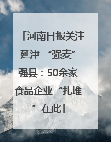 河南日报关注延津 “强麦”强县：50余家食品企业“扎堆”在此