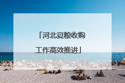 河北夏粮收购工作高效推进