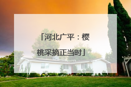 河北广平：樱桃采摘正当时