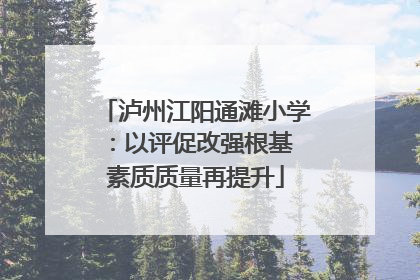 泸州江阳通滩小学：以评促改强根基 素质质量再提升