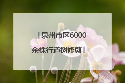 泉州市区6000余株行道树修剪