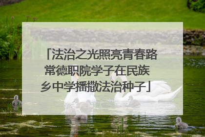 法治之光照亮青春路 常德职院学子在民族乡中学播撒法治种子