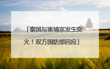 泰国与柬埔寨发生交火！双方国防部回应
