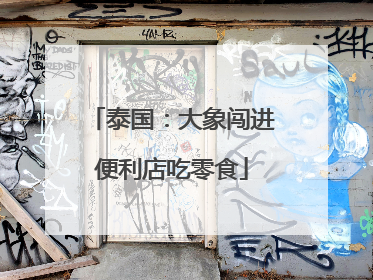 泰国：大象闯进便利店吃零食