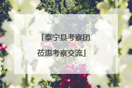 泰宁县考察团莅惠考察交流