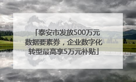 泰安市发放500万元数据要素券，企业数字化转型最高享5万元补贴