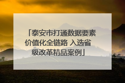 泰安市打通数据要素价值化全链路 入选省级改革精品案例