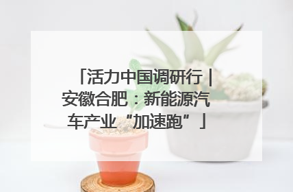 活力中国调研行｜安徽合肥：新能源汽车产业“加速跑”