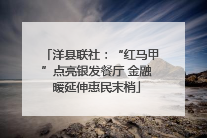 洋县联社：“红马甲”点亮银发餐厅 金融暖延伸惠民末梢