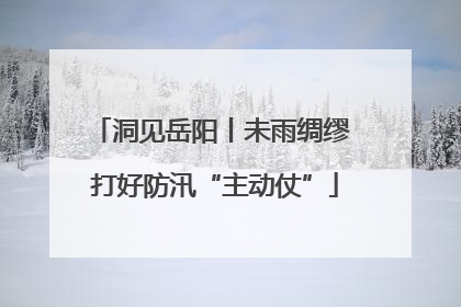 洞见岳阳丨未雨绸缪 打好防汛“主动仗”