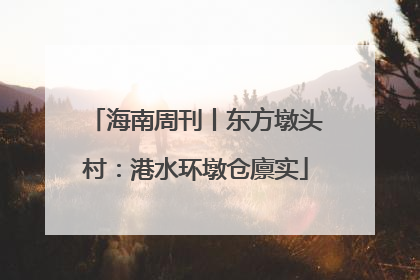 海南周刊丨东方墩头村：港水环墩仓廪实