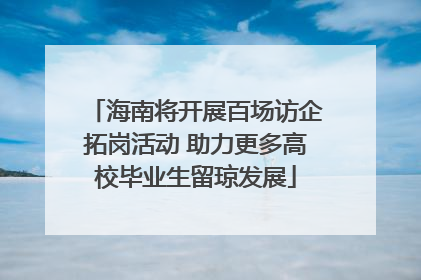海南将开展百场访企拓岗活动 助力更多高校毕业生留琼发展