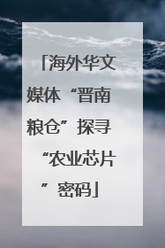 海外华文媒体“晋南粮仓”探寻“农业芯片”密码
