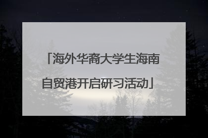 海外华裔大学生海南自贸港开启研习活动