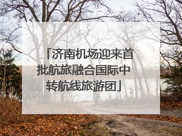 济南机场迎来首批航旅融合国际中转航线旅游团