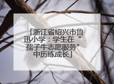 浙江省绍兴市鲁迅小学：学生在“孺子牛志愿服务”中历练成长
