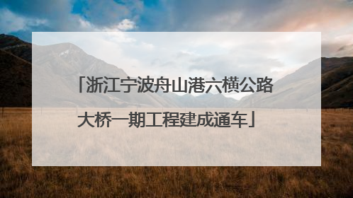 浙江宁波舟山港六横公路大桥一期工程建成通车
