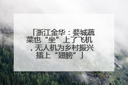 浙江金华：婺城蔬菜也“坐”上了飞机，无人机为乡村振兴插上“翅膀”