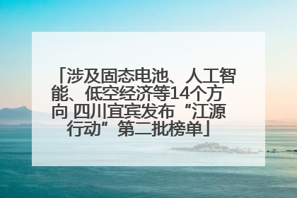 涉及固态电池、人工智能、低空经济等14个方向 四川宜宾发布“江源行动”第二批榜单