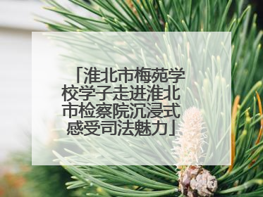 淮北市梅苑学校学子走进淮北市检察院沉浸式感受司法魅力