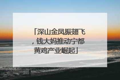 深山金凤振翅飞，钱大妈推动宁都黄鸡产业崛起