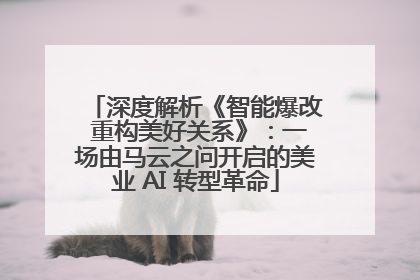 深度解析《智能爆改 重构美好关系》：一场由马云之问开启的美业 AI 转型革命