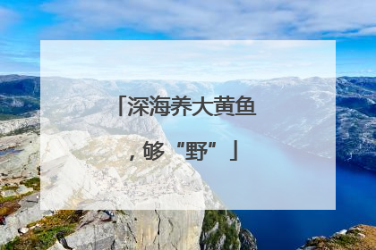 深海养大黄鱼，够“野”