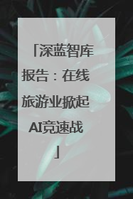 深蓝智库报告：在线旅游业掀起AI竞速战