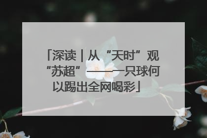深读｜从“天时”观“苏超”——一只球何以踢出全网喝彩