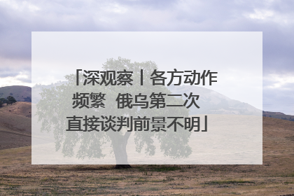 深观察丨各方动作频繁  俄乌第二次直接谈判前景不明