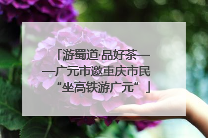 游蜀道·品好茶——广元市邀重庆市民“坐高铁游广元”