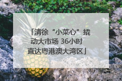 清徐“小菜心”撬动大市场 36小时直达粤港澳大湾区