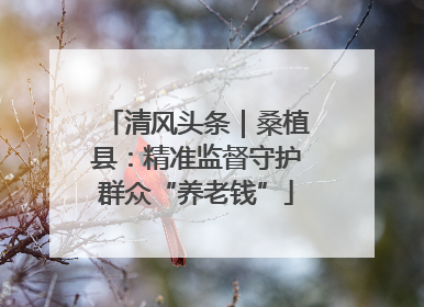 清风头条｜桑植县：精准监督守护群众“养老钱”