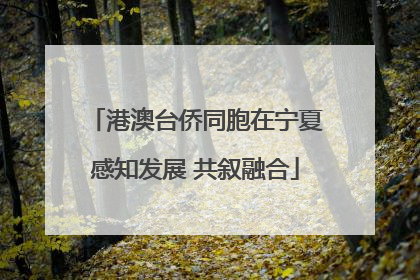 港澳台侨同胞在宁夏感知发展 共叙融合