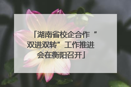 湖南省校企合作“双进双转”工作推进会在衡阳召开