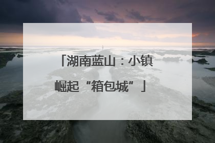 湖南蓝山：小镇崛起“箱包城”