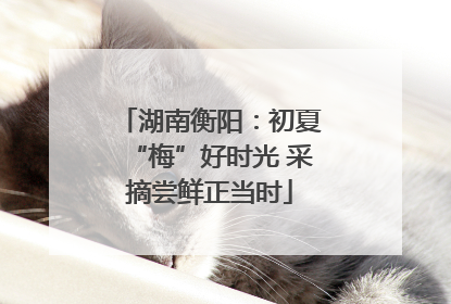 湖南衡阳：初夏“梅”好时光 采摘尝鲜正当时